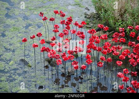 Bild: Rote Keramik-Mohn Yorkshire Skulptur Stockfoto
