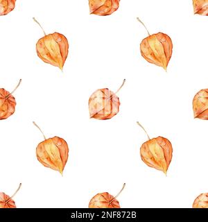 Nahtloses Muster mit Aquarell-Physalis. Orangefarbenes Poster für Superfood. Gemüse. Rot, orange, gelb. Vegetarismus. Herbstlandwirtschaftsprodukt. Stockfoto