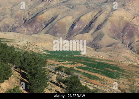 Berg Nebo, Mount Nebo, Abarim Gebirge, Jordanien / Blick auf Wadi Musa von Mount Nebo, Abarim Mountains, Jordanien Stockfoto