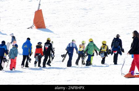 Oberwiesenthal, Deutschland. 15. Februar 2023. Kinder einer Ski- und Snowboardschule in Oberwiesenthal laufen mit ihren Lehrern und Snowboards auf den Hängen des Fichtelbergs. Sachsens größtes alpines Skigebiet ist voller Aktivitäten bei Sonnenschein und Temperaturen von bis zu 8 Grad. Besonders Familien nutzen den Winterurlaub hier in den verschiedenen Bundesstaaten, um auf den schneebedeckten Hängen des 1215 Meter hohen Fichtelbergs Ski zu fahren und Snowboarden zu fahren. Kredit: Waltraud Grubitzsch/dpa/Alamy Live News Stockfoto