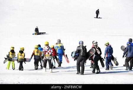 Oberwiesenthal, Deutschland. 15. Februar 2023. Kinder einer Ski- und Snowboardschule in Oberwiesenthal laufen mit ihren Lehrern und Snowboards auf den Hängen des Fichtelbergs. Sachsens größtes alpines Skigebiet ist voller Aktivitäten bei Sonnenschein und Temperaturen von bis zu 8 Grad. Besonders Familien nutzen den Winterurlaub hier in den verschiedenen Bundesstaaten, um auf den schneebedeckten Hängen des 1215 Meter hohen Fichtelbergs Ski zu fahren und Snowboarden zu fahren. Kredit: Waltraud Grubitzsch/dpa/Alamy Live News Stockfoto