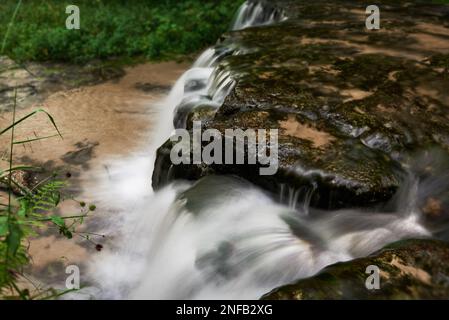 Ein Bruchteil des Wasserfalls auf dem Fluss Jeleń in Roztocze Stockfoto