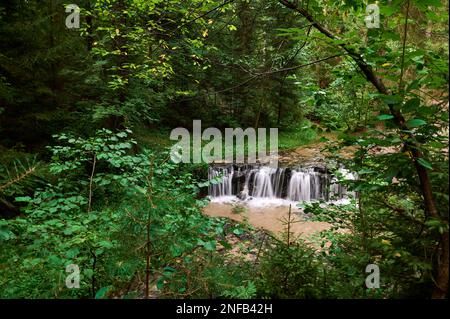 Roztocze-Wasserfall auf dem Fluss Jeleń bei Susiec Stockfoto