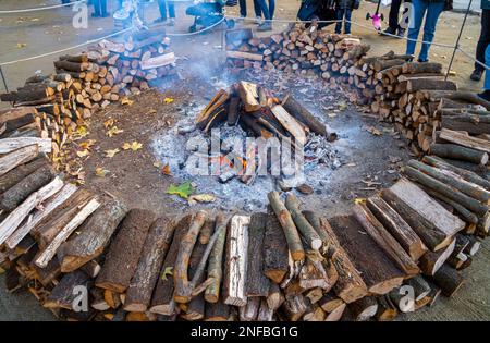 Beginnen Sie mit einem großen Lagerfeuer, das mit Holzstämmen aus dem Rauch kommt, in einem beliebten Dorffestival für typische ländliche Feiern und die Menschen in der Umgebung Stockfoto