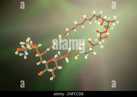 Amphotericin-B-Antimykotikum-Molekül. Chemische Formel: C47H73NO17 ...