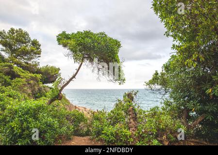 Dorf Roc de Sant Gaieta in Tarragona, Katalonien, Spanien. Stockfoto