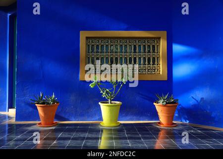 Blaues Gebäude im historischen Jardin Majorelle (Le Jardin Majorelle) in Marrakesch, Marokko. Stockfoto