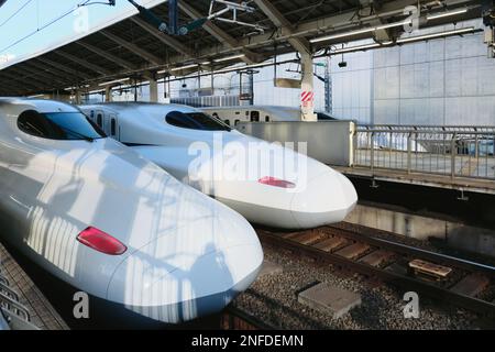 Zwei Hochgeschwindigkeitszüge (shinkansen) parken am Bahnhof Tokio in Tokio, Japan Stockfoto