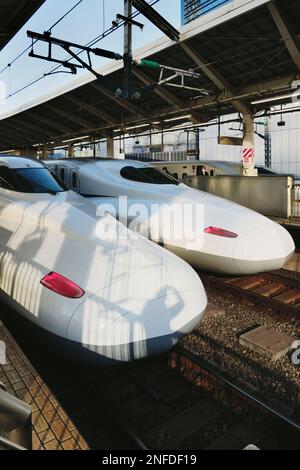 Zwei Hochgeschwindigkeitszüge (shinkansen) parken am Bahnhof Tokio in Tokio, Japan Stockfoto