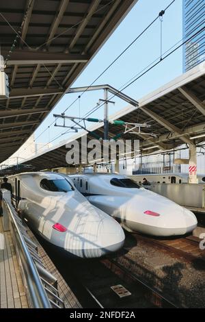 Zwei Hochgeschwindigkeitszüge (shinkansen) parken am Bahnhof Tokio in Tokio, Japan Stockfoto