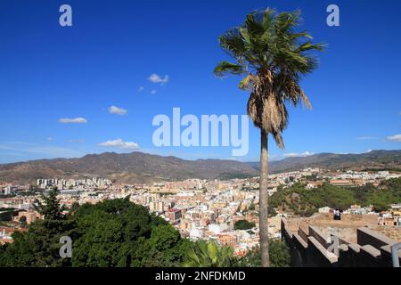 Malaga Stadt von den Festungsmauern von Alcazaba aus gesehen. Wahrzeichen von Malaga, Spanien. Stockfoto