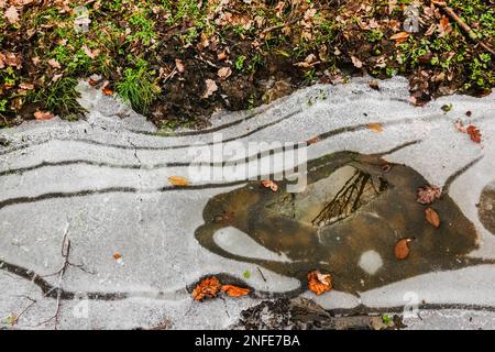 Wundervolle geschwungene Eisformen in einem See mit Waldgrund im Winter Stockfoto