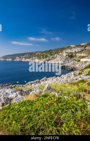 Gagliano del Capo. Das wunderschöne Panorama auf dem blauen Meer, von den felsigen Klippen von Salento. Der Naturpfad, der von der Ciolo-Brücke zum s führt Stockfoto