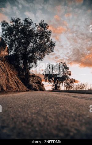 Ein einsamer Baum steht im Vordergrund einer Straße, die zu einer steilen Klippe im Hintergrund führt Stockfoto