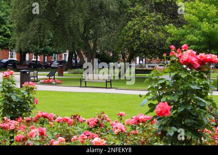 Park Square, Leeds, Großbritannien. Öffentlicher georgianischer Platz mit Rosengarten. Stockfoto