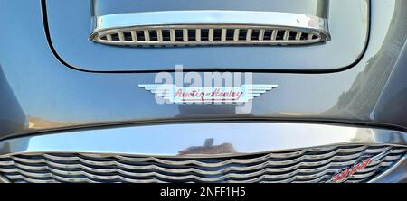 Austin Healey Fahrzeuglogo, Fahrzeugmaskottchen, Motorhaubenschmuck, Motorhaubenschmuck, Kühlerdeckel, Motormaskottchen, Fahrzeugzeichen, Stockfoto