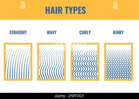 Haarwuchsarten zeigen einen Satz gerader, gewellter, lockiger und kalter Stränge an Stock Vektor