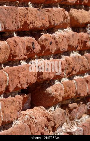 Alte, englische Bindung verlegte eine Ziegelmauer in schlechtem, erodiertem Zustand. Stockfoto