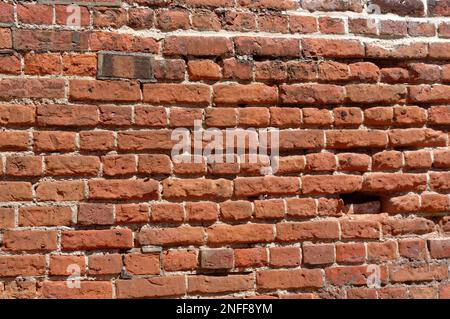 Alte, englische Bindung verlegte eine Ziegelmauer in schlechtem, erodiertem Zustand. Stockfoto