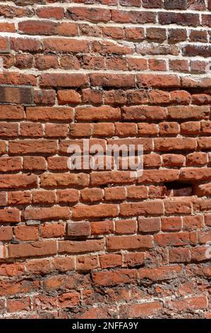 Alte, englische Bindung verlegte eine Ziegelmauer in schlechtem, erodiertem Zustand. Stockfoto