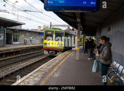 Der Dart-Zug kommt am Bahnhof in der Tara Street an Stockfoto