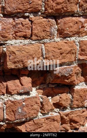 Alte, englische Bindung verlegte eine Ziegelmauer in schlechtem, erodiertem Zustand. Stockfoto