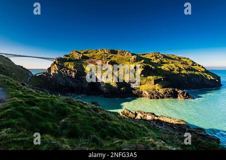 Tintagel Island und Fußgängerbrücke mit Blick auf Tintagel Haven, Tintagel, Cornwall, Großbritannien Stockfoto