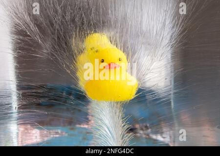 Eine Reihe kleiner gelber Gummienten mit roten Schnäbeln und schwarzen Augen, gefroren in einem Eisblock auf dem Kanazawa Fischmarkt an einem heißen Sommertag. Stockfoto