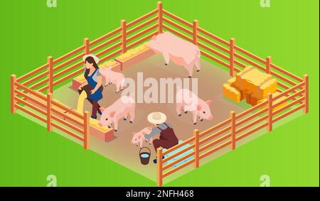 Isometrischer Vektor eines Schweinehaltungsbetriebs und Farmenrs mit rosa wachsenden Ferkeln zur Fütterung Stock Vektor