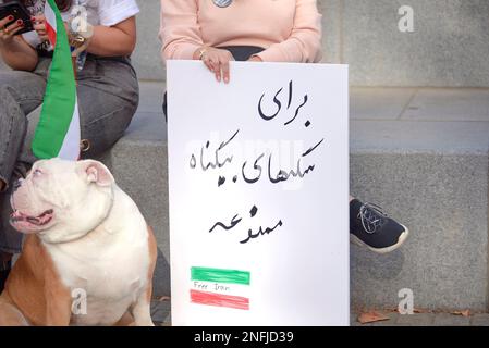 Toronto Ontario, Kanada- 5. November 2022: Ein Schild, das besagt, dass Hunde im Iran verboten sind. Stockfoto