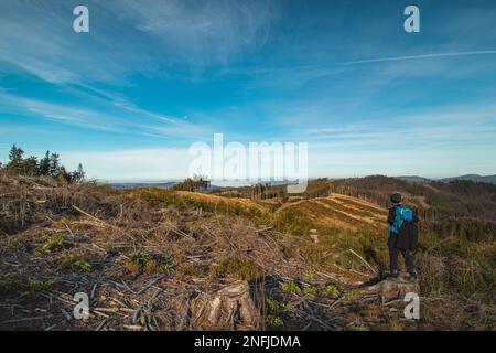 Reisende mit einem blauen Rucksack auf dem Rücken wandern zu seinen unvergesslichen Erlebnissen in den Beskydy-Bergen, Tschechische republik. Die Morgensonne leuchtet Stockfoto