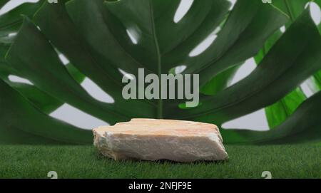 Stone Podium Tischplatte auf grünem Gras Monstera tropische Pflanze weiß Hintergrund.Promotion Schönheit kosmetisch und gesunde natürliche Produktplatzierung p Stockfoto