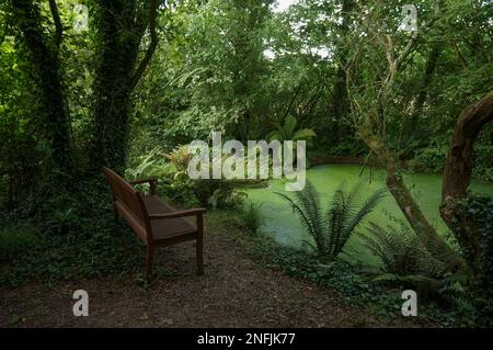 Sitzplatz in einer schattigen Gartenecke Stockfoto