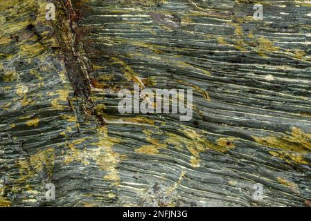 Diese Nahaufnahme von Felsen zeigt die raue, natürliche Schönheit der geologischen Formationen. Die rauen Oberflächen und Strukturen der Felsen sind Promi Stockfoto