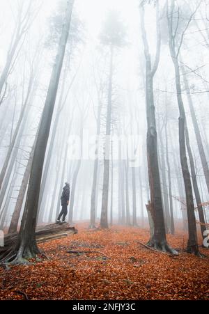 Ein Mann, der auf einem umgestürzten Baum steht und den schleichenden Schmerz in Form des Morgennebels beobachtet, der umgibt und konsumiert. Morgenstimmung im Herbst. Beskydy mou Stockfoto