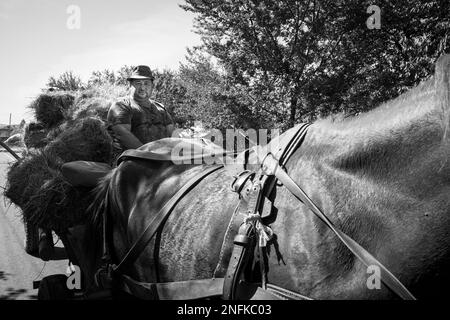 Rumänien. Siebenbürgen. Dorolea. Das tägliche Leben auf dem Land Stockfoto