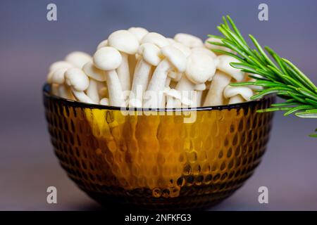 Frische rohe weiße Shimiji-Shimeji-Pilze in gelber Schüssel Hypsizygus tessulatus ist ein Pilz aus Ostasien. Vegetarische vegane gesunde Nahrungspflanze Stockfoto