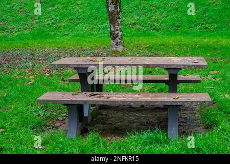 Leere Bänke mit Tischen für Touristen, die sich auf dem grünen Gras in der Nähe des Flusses ausruhen können. Ein Ort der Ruhe für Touristen und Reisende. Stockfoto