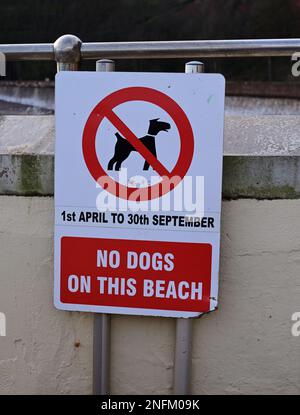 Keine Hunde auf diesem Strandschild in Coryton's Cove, Dawlish, South Devon. Stockfoto