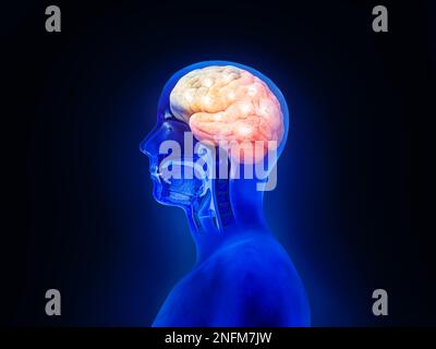 Menschlicher Kopf mit einem leuchtenden Gehirnnetz, Bewusstsein, künstlicher Intelligenz, 3D-Rendering Stockfoto