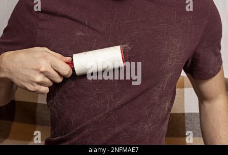 Ein Mann mit einer klebrigen Kleiderrolle entfernt Tierhaare aus der Kleidung. Katzenhaar auf der Kleidung. Eine klebrige Rolle, die Katzenhaare entfernt. Stockfoto