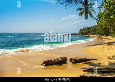 Tropische Sandstrände in Goyambokka in der Nähe von Tangalle an der Südküste Sri Lankas im Indischen Ozean Stockfoto