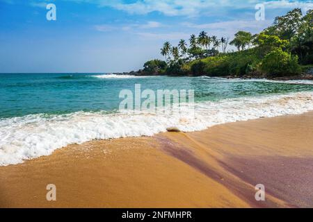 Tropische Sandstrände in Goyambokka in der Nähe von Tangalle an der Südküste Sri Lankas im Indischen Ozean Stockfoto