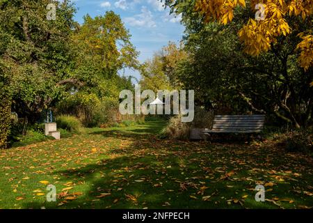 Herbst im District Teaching Garden Stockfoto