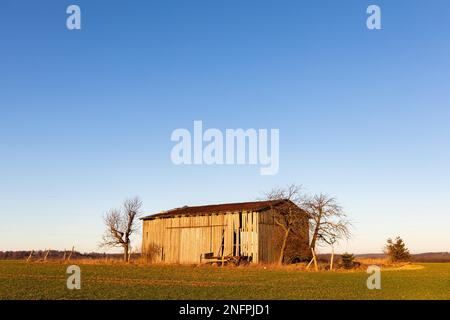 Feldscheune bei Sonnenuntergang Stockfoto