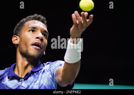Rotterdam, Niederlande. 17. Februar 2023. ROTTERDAM, NIEDERLANDE - FEBRUAR 17: Felix Auger Aliassime von Kanada in Aktion während seines Viertelfinalspiels der Männer gegen Daniil Medwedew (Russland) am 5. Tag des 50. ABN AMRO Open im Rotterdam Ahoy am 17. Februar 2023 in Rotterdam, Niederlande (Foto von Joris Verwijst/BSR Agency) Kredit: Orange Pics BV/Alamy Live News Stockfoto