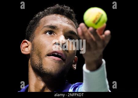 Rotterdam, Niederlande. 17. Februar 2023. ROTTERDAM, NIEDERLANDE - FEBRUAR 17: Felix Auger Aliassime von Kanada in Aktion während seines Viertelfinalspiels der Männer gegen Daniil Medwedew (Russland) am 5. Tag des 50. ABN AMRO Open im Rotterdam Ahoy am 17. Februar 2023 in Rotterdam, Niederlande (Foto von Joris Verwijst/BSR Agency) Kredit: Orange Pics BV/Alamy Live News Stockfoto