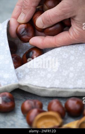 Kastanienkissen, Kastanien-Kissen, Wärmekissen, Wärme-Kissen, Kastanien werden gefüllt in einen Kissenbezug, können dann im Ofen erwärmt und als Wärme Stockfoto