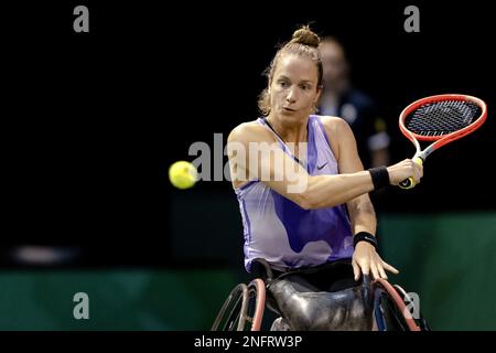 Rotterdam, Niederlande. 17. Februar 2023. ROTTERDAM - Rollstuhl-Tennisspieler Jiske Griffioen (Niederlande) im Kampf gegen Yui Kamiji (Japan) am fünften Tag des ABN AMRO Open Tennis Turniers in Ahoy. AP SANDER KING Credit: ANP/Alamy Live News Stockfoto