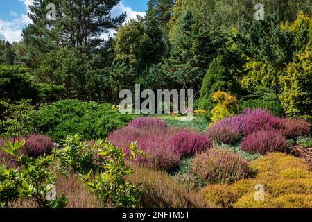 Cottage Gardens, ländlicher Garten, Blumen, Polen Stockfoto